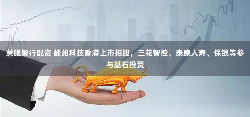慧眼智行配资 峰岹科技香港上市招股，三花智控、泰康人寿、保银等参与基石投资