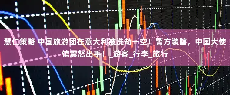 慧仁策略 中国旅游团在意大利被洗劫一空！警方装瞎，中国大使馆震怒出手！_游客_行李_旅行